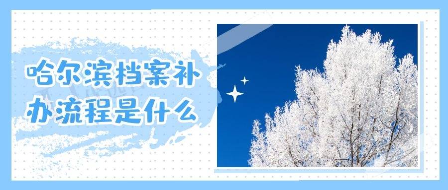哈尔滨档案补办流程是什么