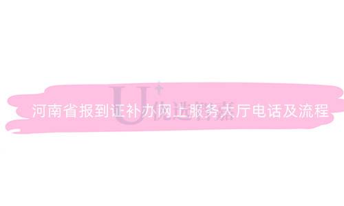 河南省报到证补办网上服务大厅电话及流程