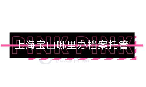 上海宝山哪里办档案托管