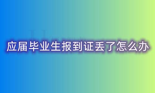 应届毕业生报到证丢了怎么办（报到证补办）