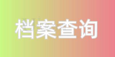 档案查询