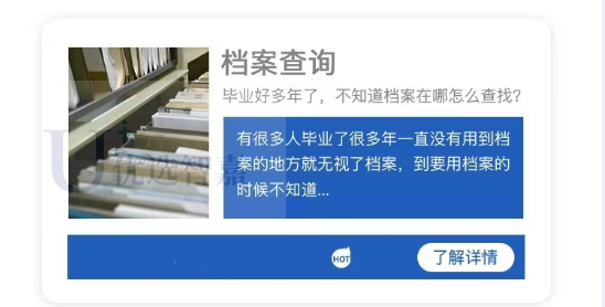 优选智嘉档案查询