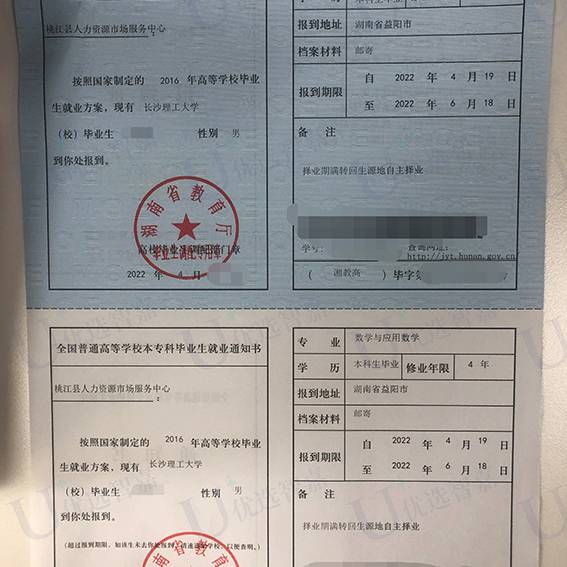 大学生报到证去向怎么查询