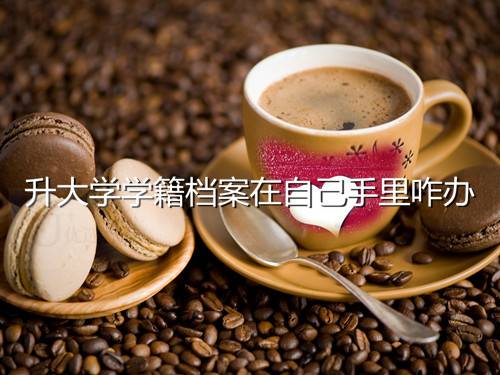 升大学学籍档案在自己手里咋办