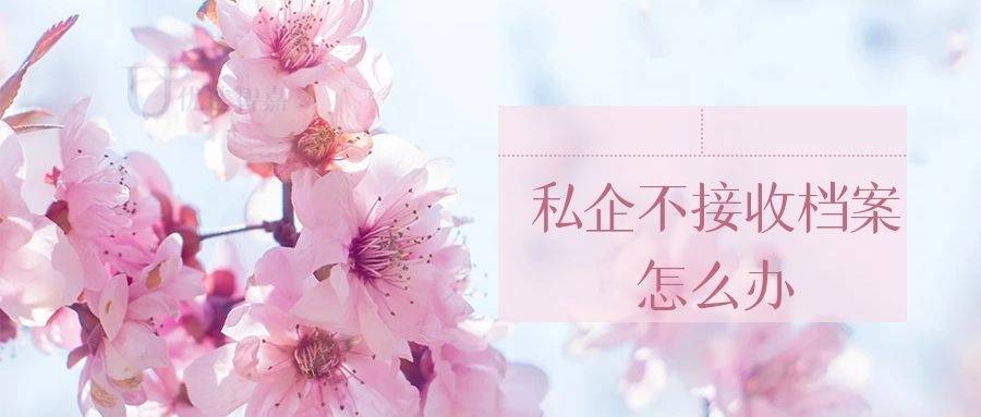 私企不接收档案怎么办