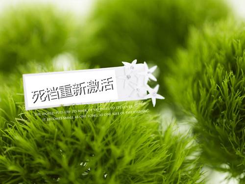 2022档案变成死档去哪里重新激活