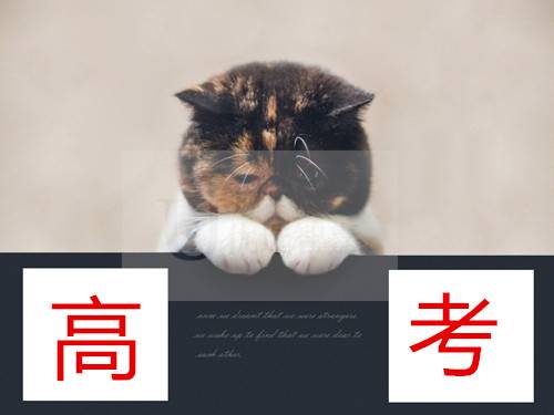 高考档案里面有哪些资料,在哪领