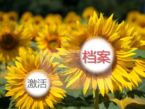 毕业生档案死档了怎么激活