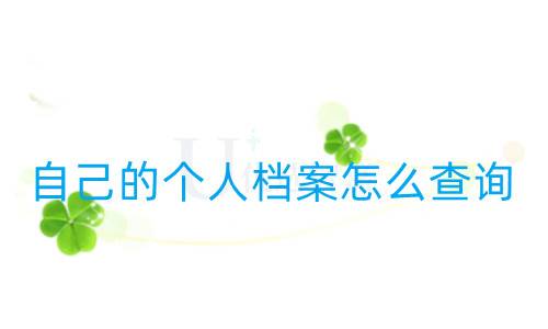 档案忘记存哪里了,自己的个人档案怎么查询
