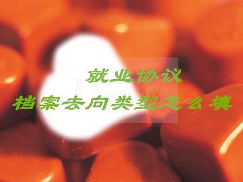 就业协议档案去向类型怎么填