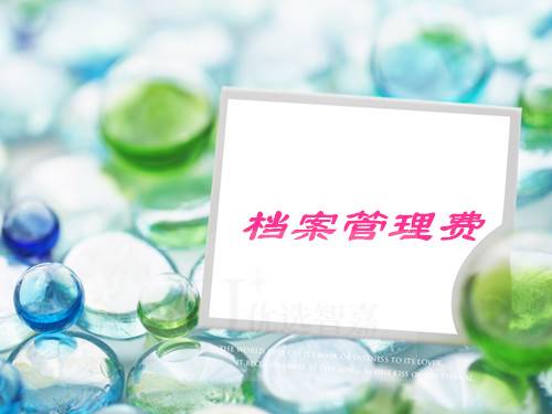 档案管理费