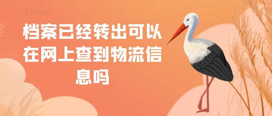 档案已经转出可以在网上查到物流信息吗