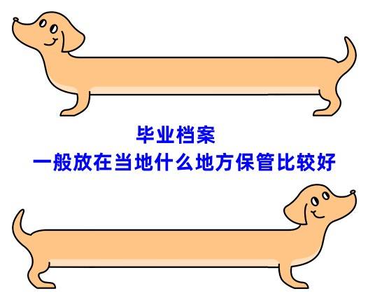 毕业档案一般放在当地什么地方保管比较好