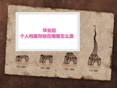 毕业后个人档案存放在哪里怎么查