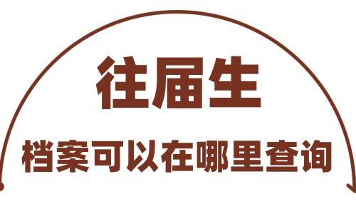 往届生的档案可以在哪里查询到吗