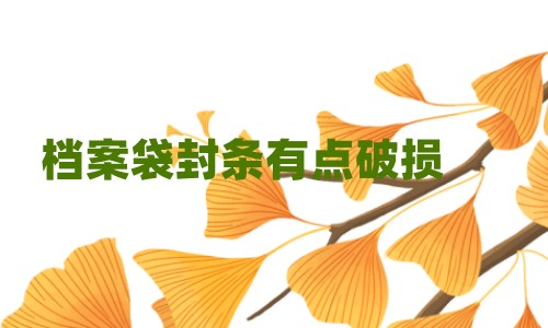 档案袋封条有点破损