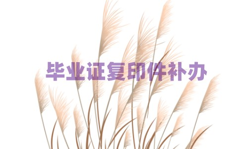 毕业证复印件补办