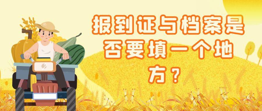 报到证与档案是否要填一个地方？