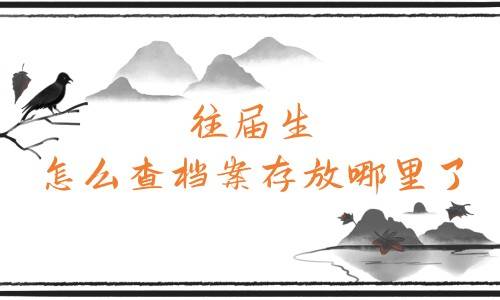 往届生怎么查档案存放哪里了