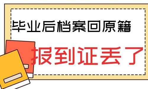 毕业后档案回原籍但没去报到,报到证也丢了怎么办