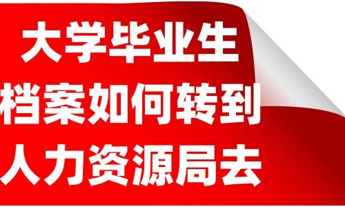 大学毕业生档案如何转到人力资源局去