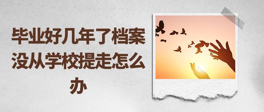 毕业好几年了档案还在学校，没提走怎么办