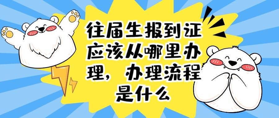 往届生报到证应该从哪里办理，办理流程是什么
