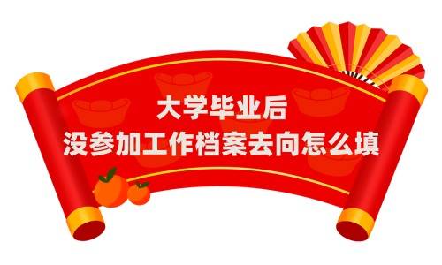 大学毕业后没参加工作档案去向怎么填