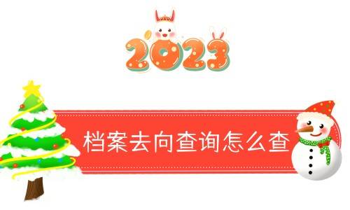档案去向查询怎么查（档案去向查询网站）