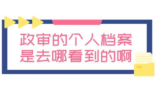 政审的个人档案是去哪看到的啊