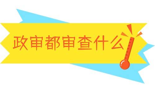 政审都审查什么亲戚，什么内容