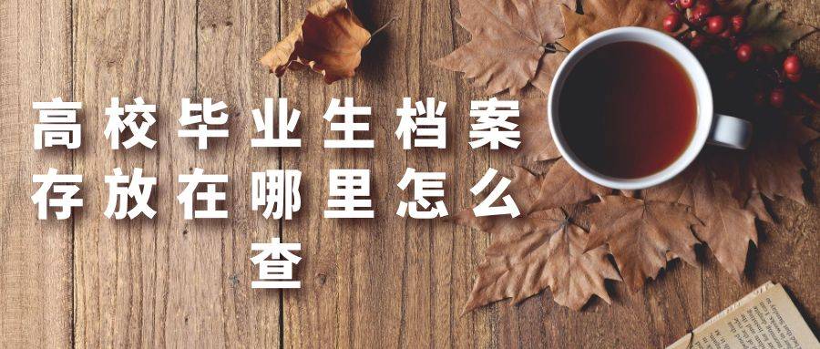 高校毕业生档案存放在哪里怎么查