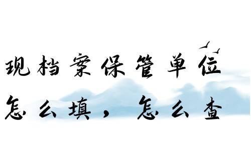 现档案保管单位怎么填，怎么查