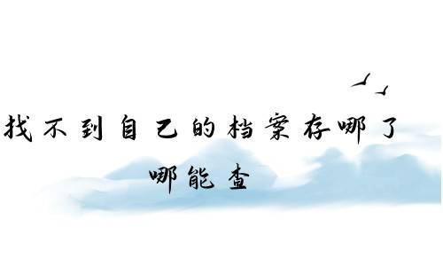 找不到自己的档案存哪了，哪能查