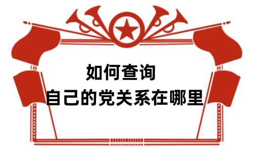 如何查询自己的党关系在哪里