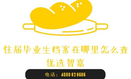 往届毕业生档案在哪里怎么查