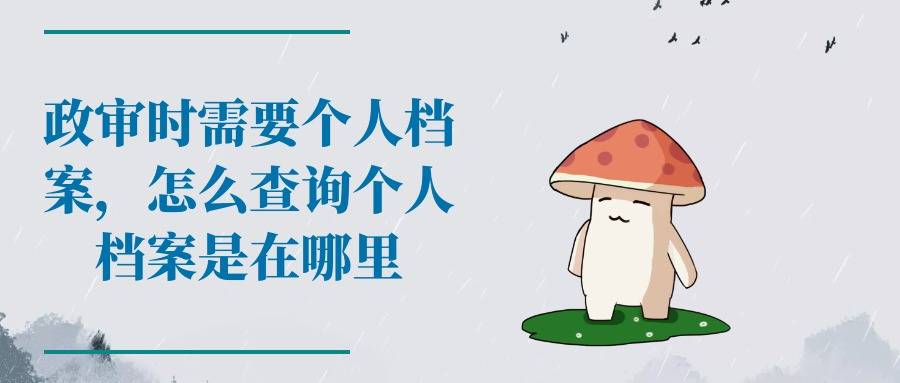 政审时需要个人档案，怎么查询个人档案是在哪里