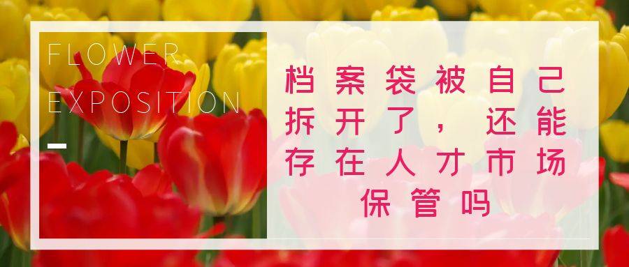 档案袋被自己拆开了，还能存在人才市场保管吗