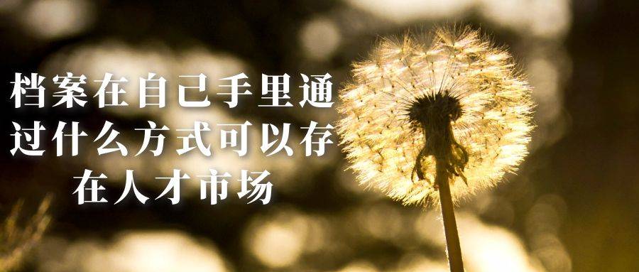 档案在自己手里通过什么方式可以存在人才市场