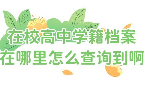 在校高中学籍档案在哪里怎么查询到啊