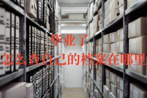 毕业了怎么查自己的档案在哪里