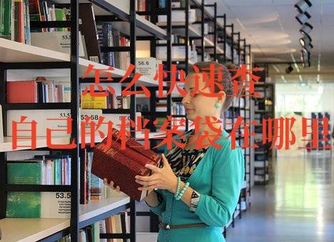 怎么快速查自己的档案袋在哪里