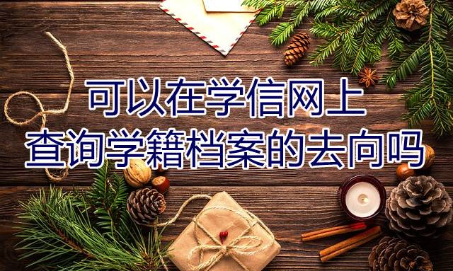 可以在学信网上查询学籍档案的去向吗