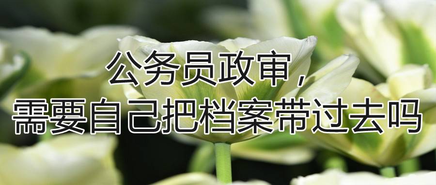 公务员政审，需要自己把档案带过去吗