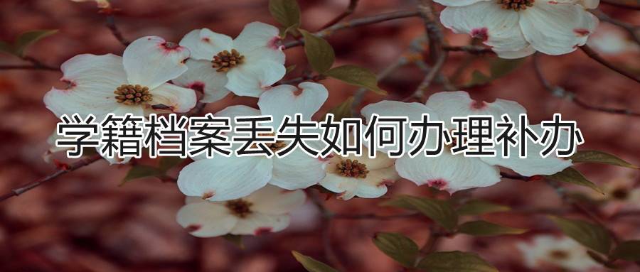 学籍档案丢失如何办理补办