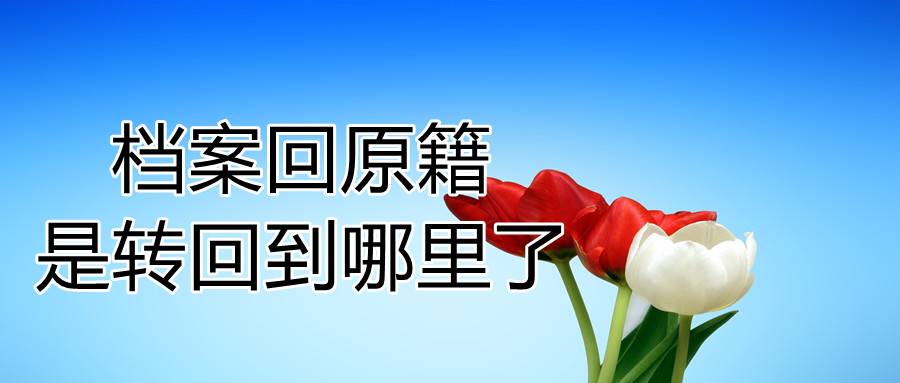 档案回原籍是转回到哪里了