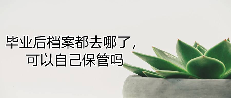 毕业后档案都去哪了，可以自己保管吗