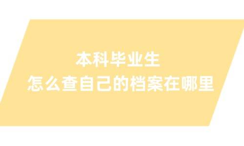 本科毕业生怎么查自己的档案在哪里