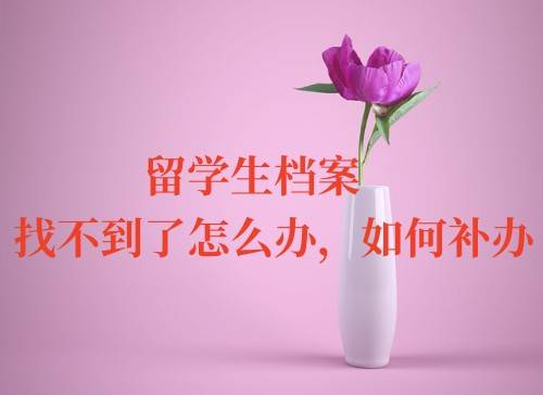 留学生档案找不到了怎么办，如何补办