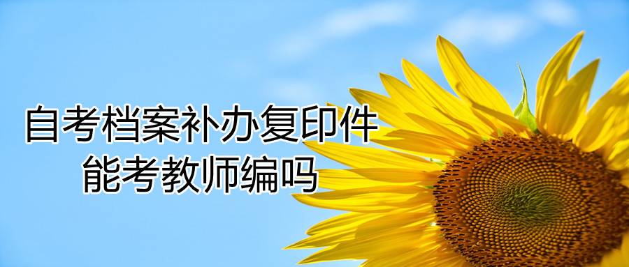 自考档案补办复印件能考教师编吗